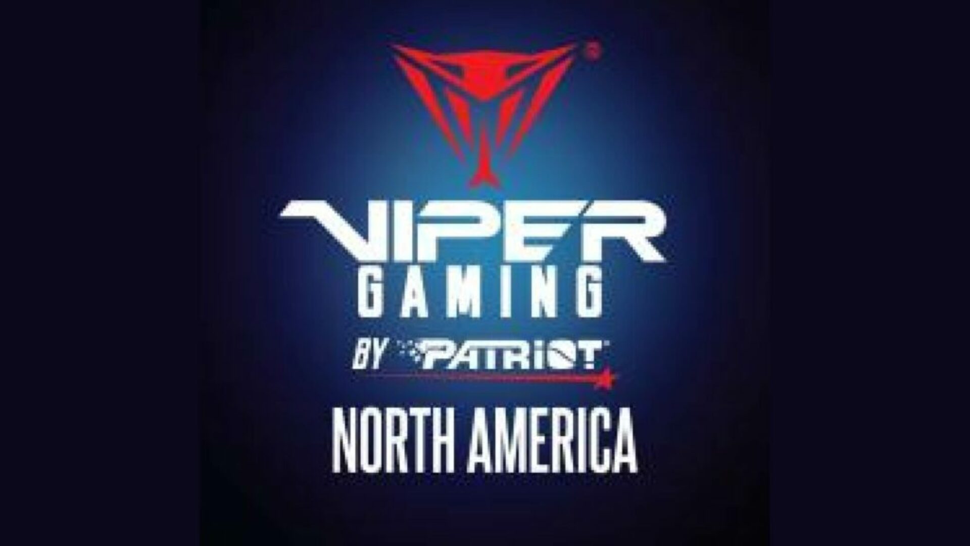 sponsor logo_viperpatriot